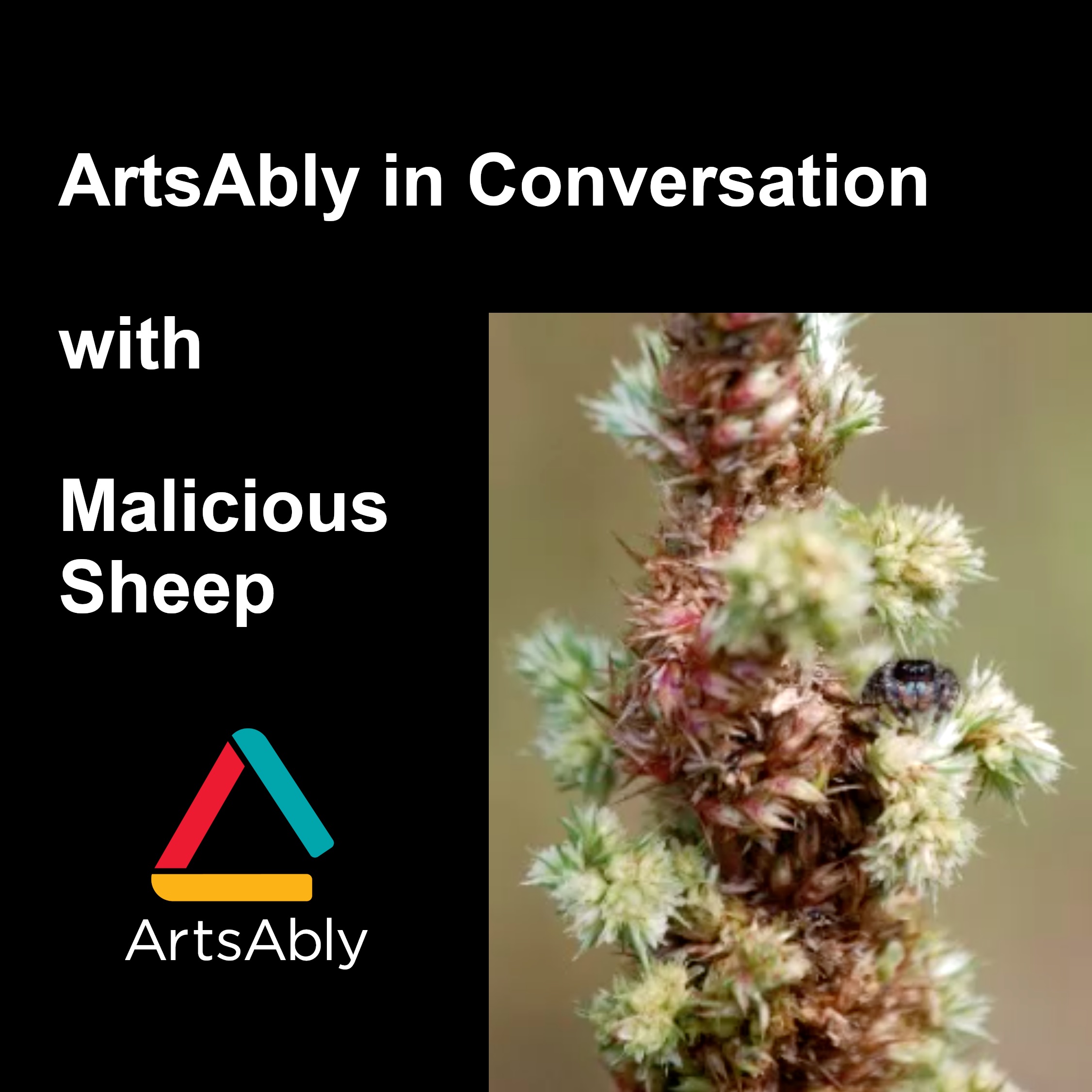 Episode 9: ArtsAbly in Conversation with Malicious Sheep
